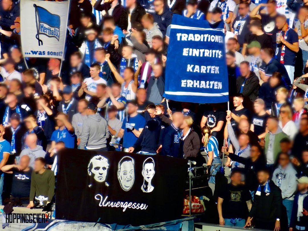 Hertha BSC – TSG Hoffenheim 1-1 (5)