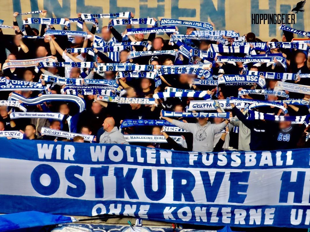 Hertha BSC – TSG Hoffenheim 1-1 (6)