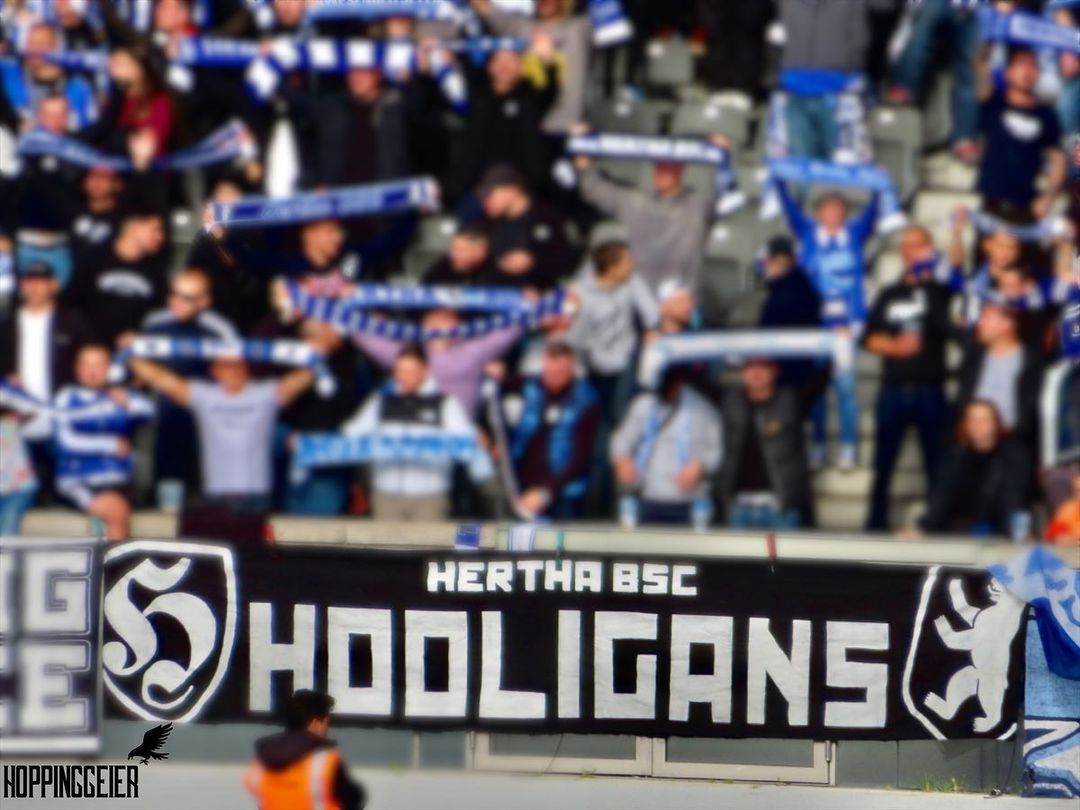 Hertha BSC – TSG Hoffenheim 1-1 (7)