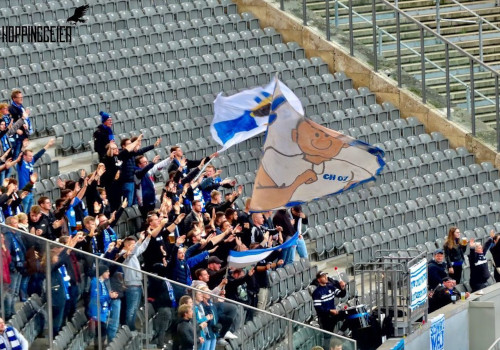 Hertha BSC – TSG Hoffenheim 1-1 (1)