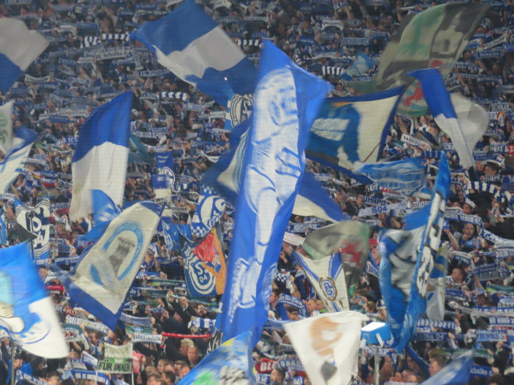 FC Schalke 04 – TSG Hoffenheim 0-3