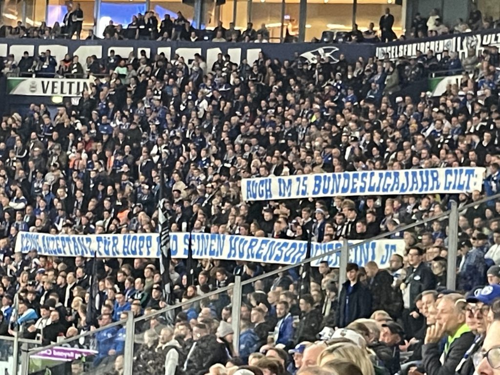 FC Schalke 04 – TSG Hoffenheim 0-3 (1)