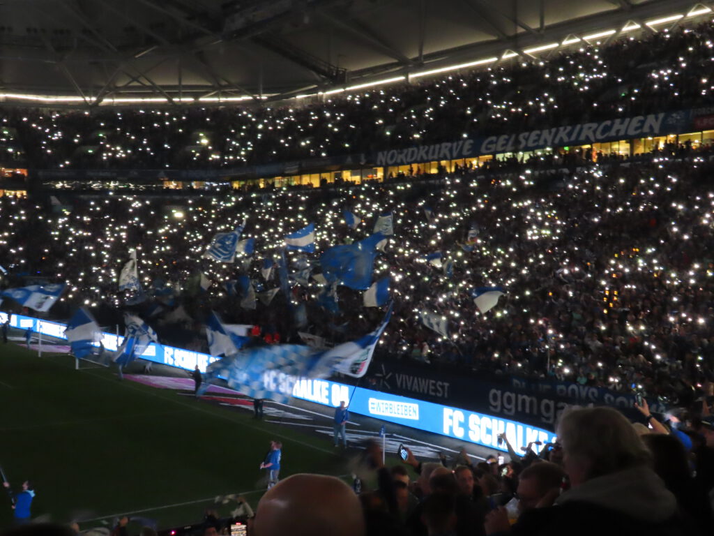 FC Schalke 04 – TSG Hoffenheim 0-3 (2)