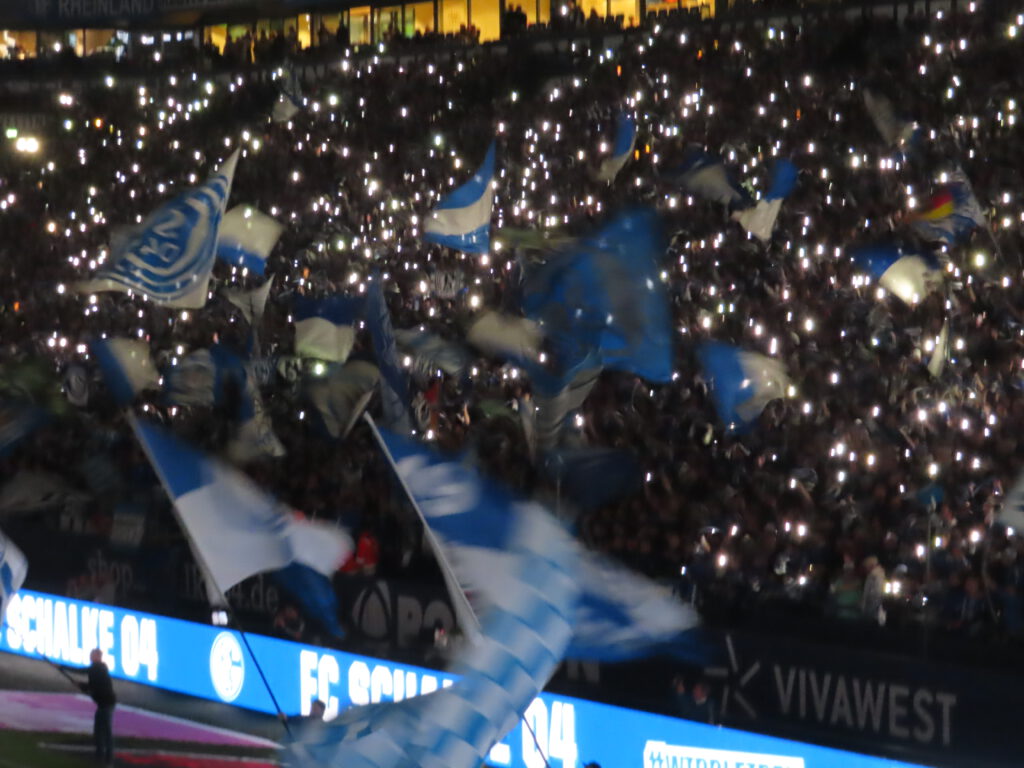 FC Schalke 04 – TSG Hoffenheim 0-3 (3)