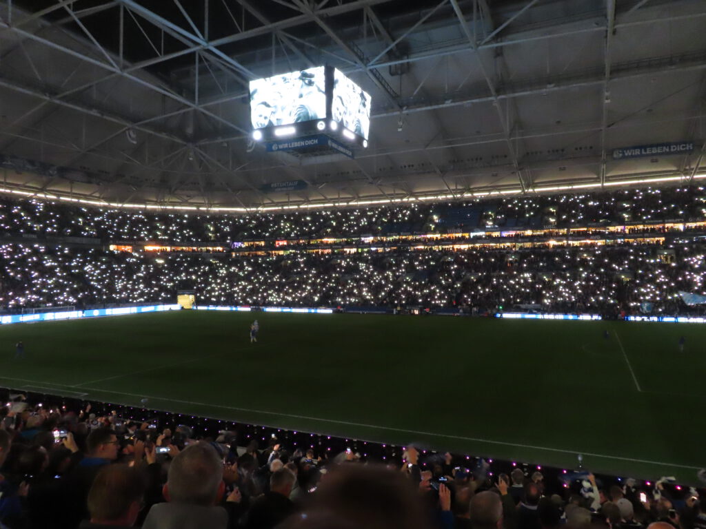 FC Schalke 04 – TSG Hoffenheim 0-3 (4)