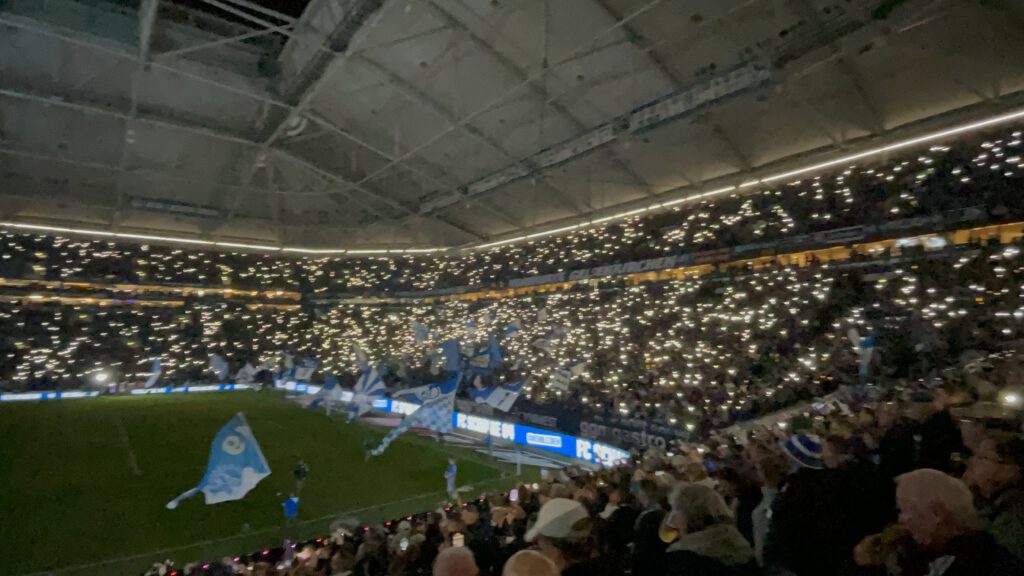FC Schalke 04 – TSG Hoffenheim 0-3 (5)