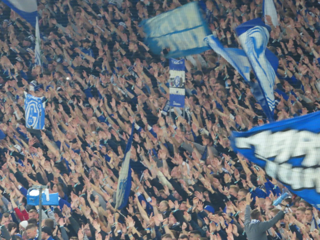 FC Schalke 04 – TSG Hoffenheim 0-3 (8)