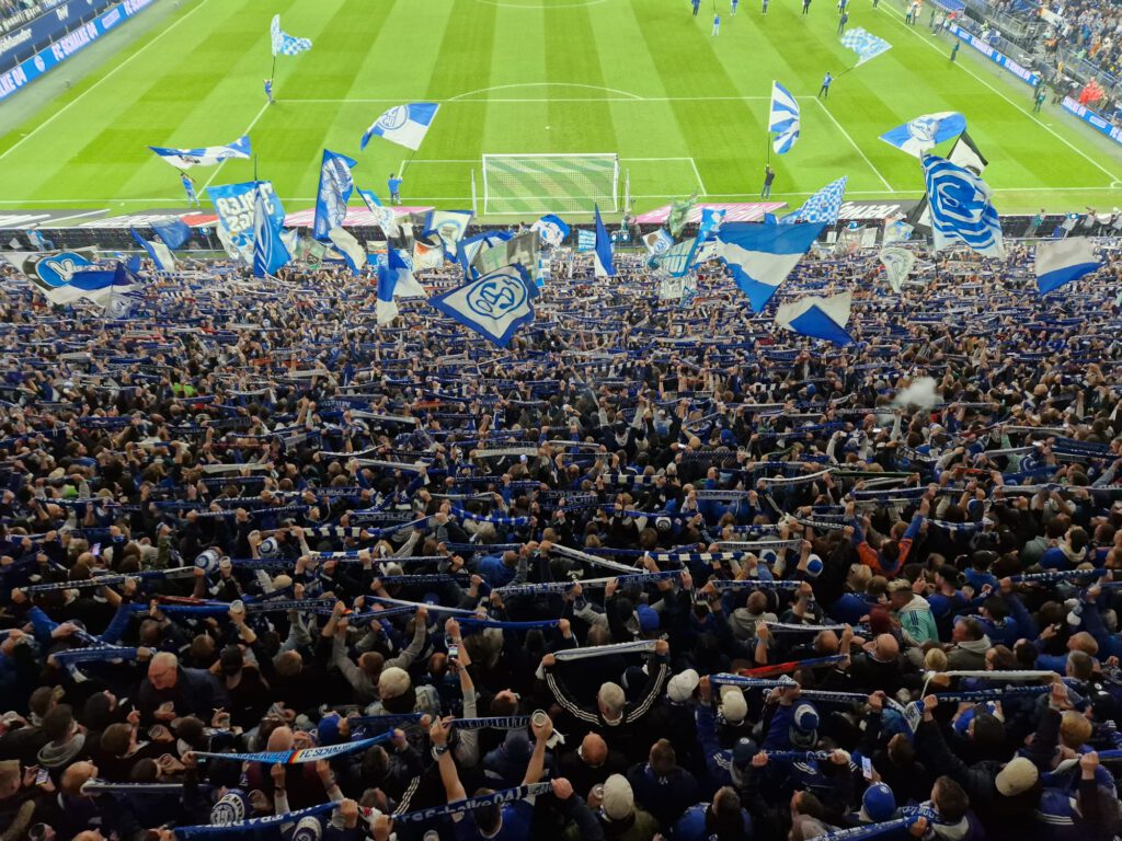 FC Schalke 04 – TSG Hoffenheim 0-3 (9)