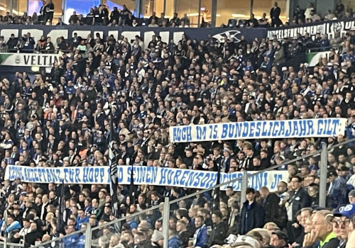 FC Schalke 04 – TSG Hoffenheim 0-3 (10)