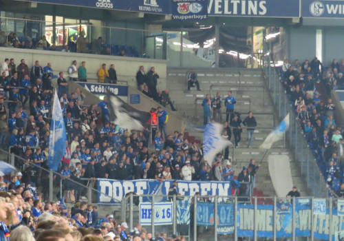 FC Schalke 04 – TSG Hoffenheim 0-3 (1)