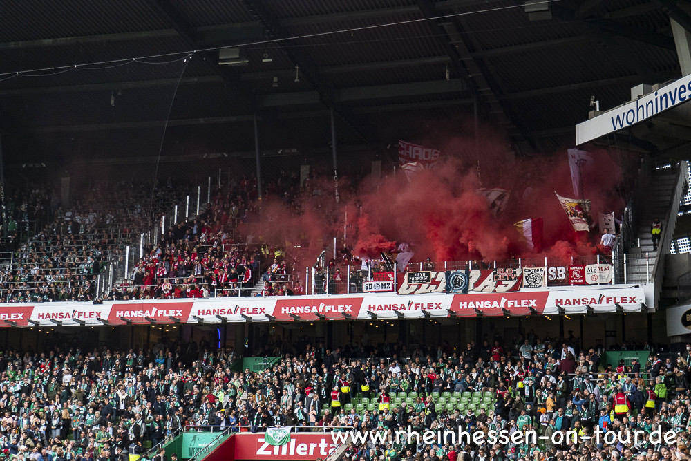Werder Bremen – 1. FSV Mainz 05 0-2 (1)