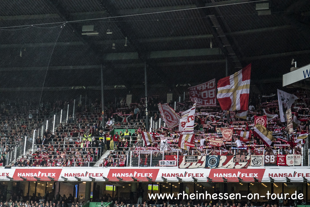Werder Bremen – 1. FSV Mainz 05 0-2 (14)