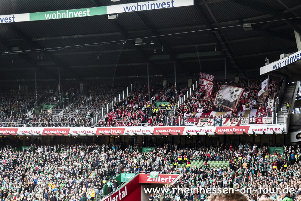 Werder Bremen – 1. FSV Mainz 05 0-2 (19)
