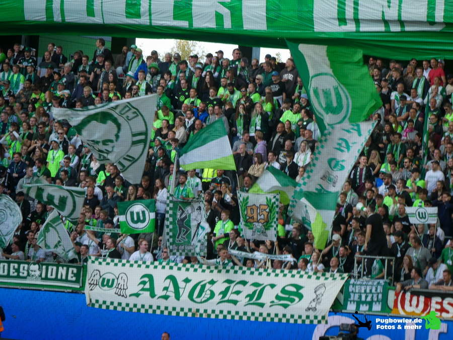 VfL Wolfsburg – Borussia Mönchengladbach 2-2 (7)