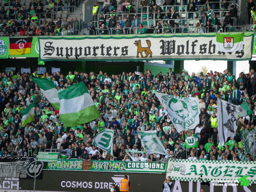 VfL Wolfsburg – Borussia Mönchengladbach 2-2 (8)