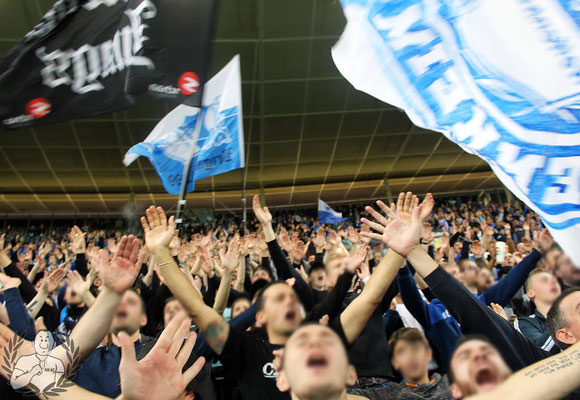 TSG Hoffenheim – FC Schalke 04 5-1 (2)