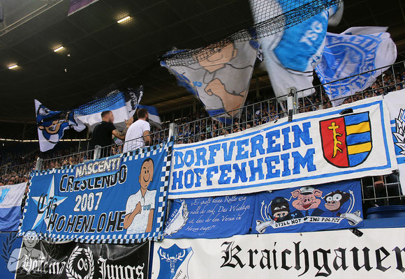 TSG Hoffenheim – FC Schalke 04 5-1 (7)