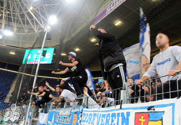 TSG Hoffenheim – FC Schalke 04 5-1 (8)