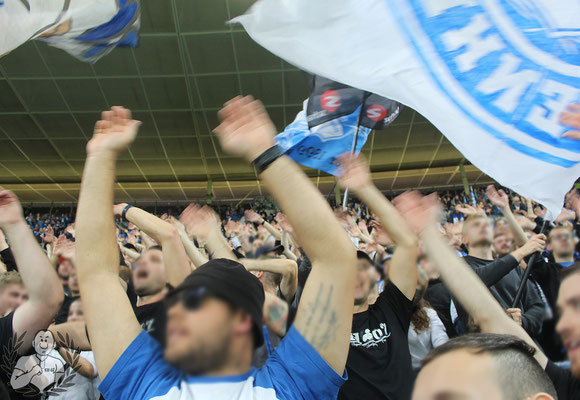 TSG Hoffenheim – FC Schalke 04 5-1 (12)