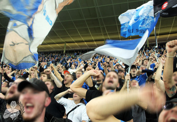 TSG Hoffenheim – FC Schalke 04 5-1 (13)