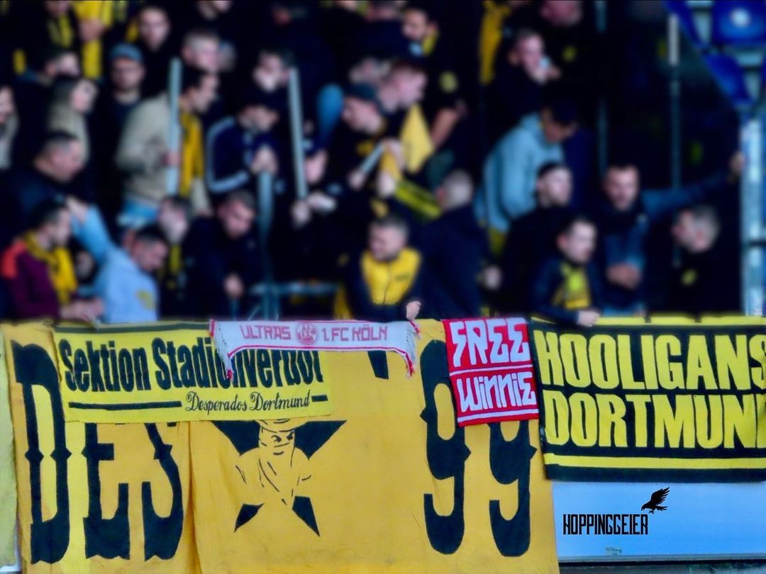 Hannover 96 – Borussia Dortmund 0-2 (8)