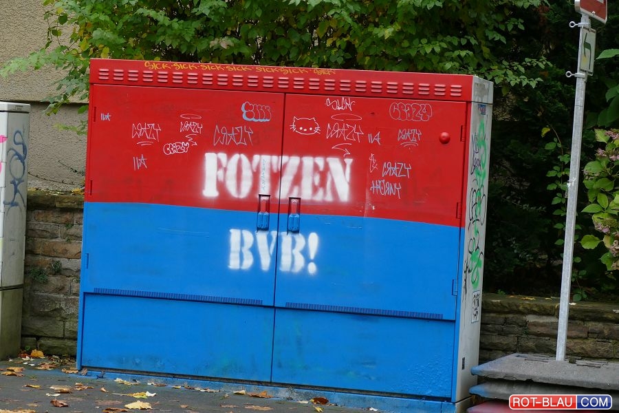 Wuppertaler SV – Rot-Weiß Oberhausen 1-0 (8)