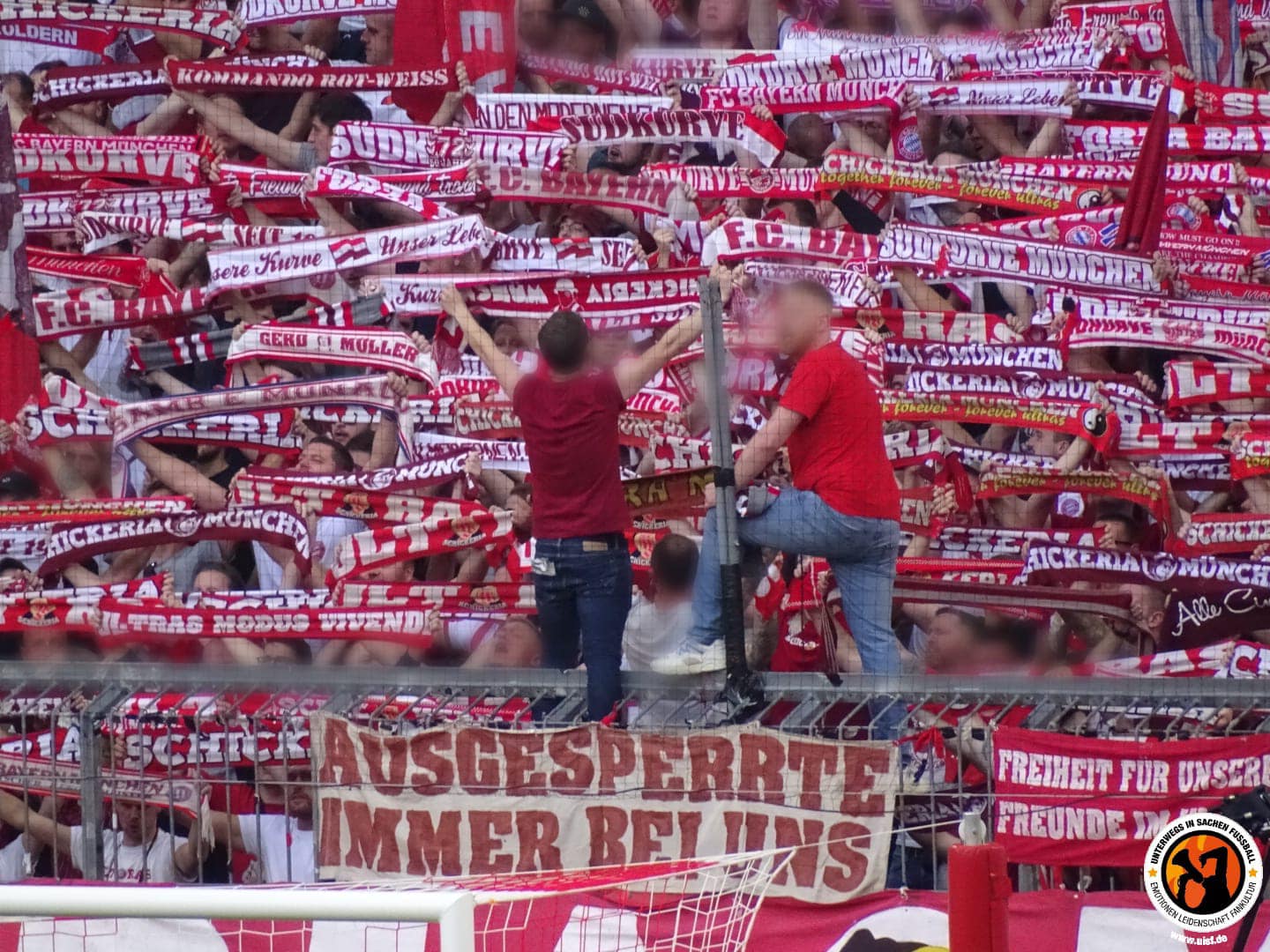FC Bayern München – 1. FSV Mainz 05 6-2 (10)