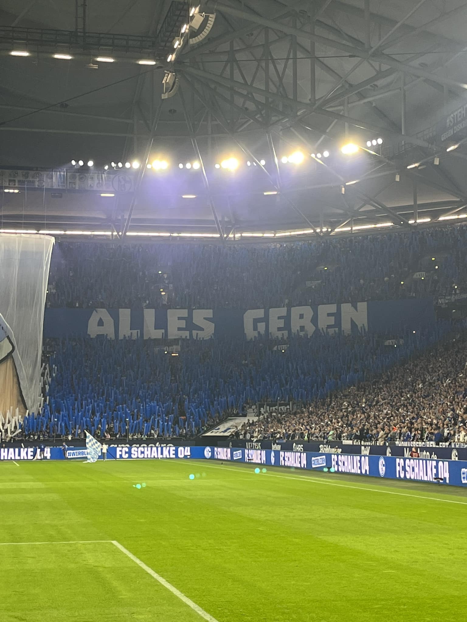 FC Schalke 04 – SC Freiburg 1-2 (8)