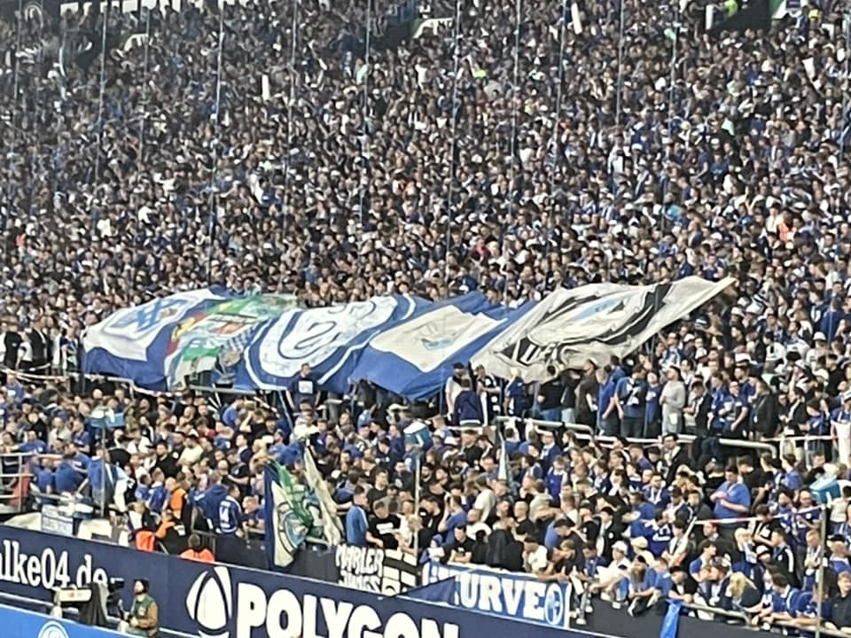 FC Schalke 04 – SC Freiburg 1-2 (18)