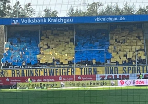 SV Sandhausen – Eintracht Braunschweig 2-2 (1)