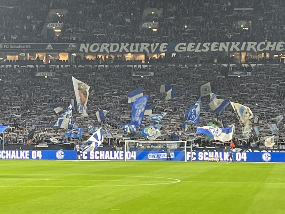 FC Schalke 04 – 1. FSV Mainz 05 1-0