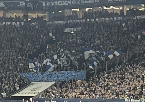 FC Schalke 04 – 1. FSV Mainz 05 1-0 (6)