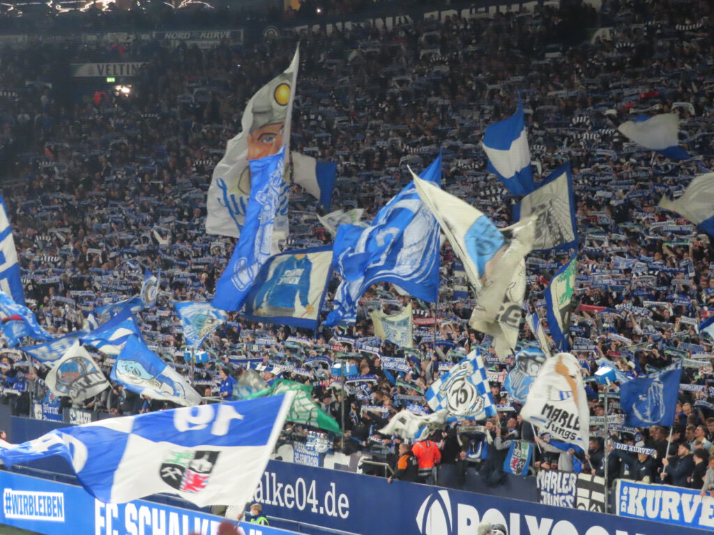 FC Schalke 04 – 1. FSV Mainz 05 1-0 (8)