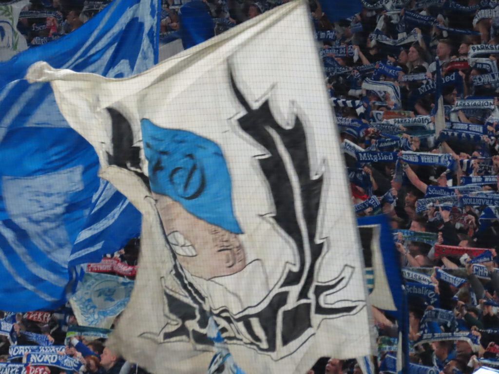 FC Schalke 04 – 1. FSV Mainz 05 1-0 (9)