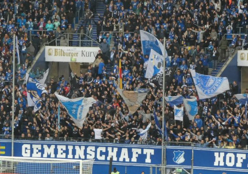 TSG Hoffenheim – VfL Wolfsburg 1-2 (3)