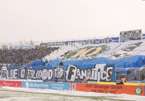 TSV 1860 München – FSV Zwickau (10)