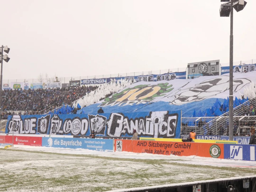 TSV 1860 München – FSV Zwickau (22)