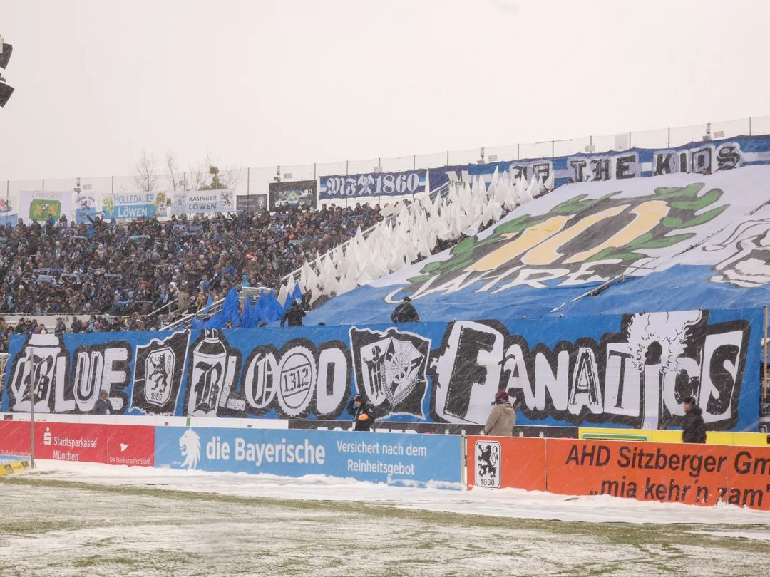 TSV 1860 München – FSV Zwickau (24)