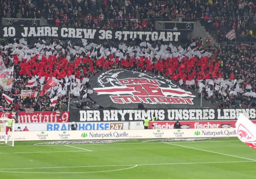 VfB Stuttgart – 1. FSV Mainz 05 1-1 (34)