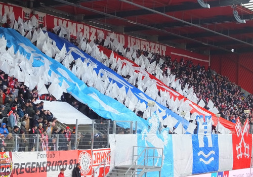 SSV Jahn Regensburg – DSC Arminia Bielefeld 1-2 (6)