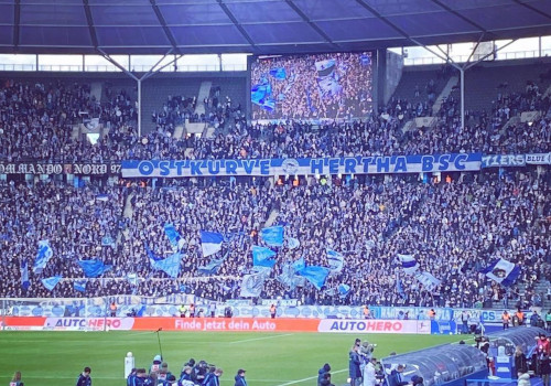Hertha BSC – 1. FSV Mainz 05 1-1