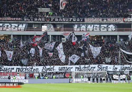 Eintracht Frankfurt – VfB Stuttgart 1-1 (10)