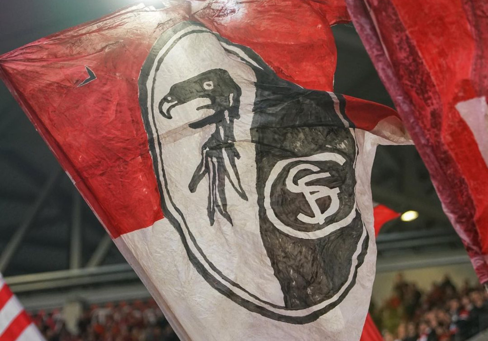SC Freiburg – TSG Hoffenheim 2-1 (17)