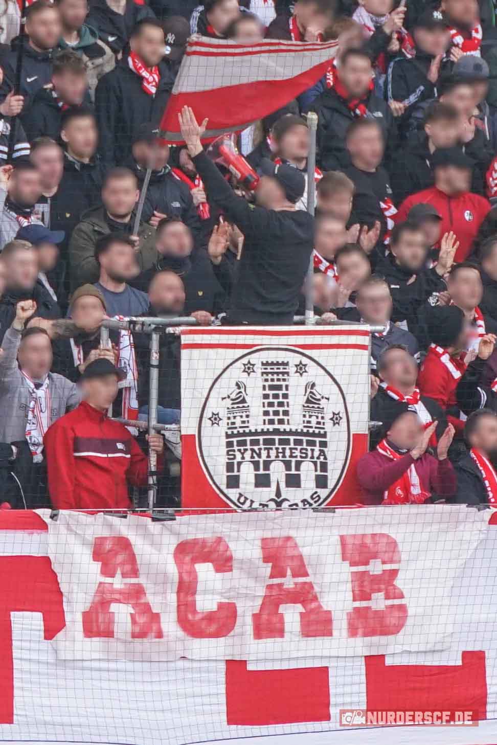 SC Freiburg – TSG Hoffenheim 2-1 (18)
