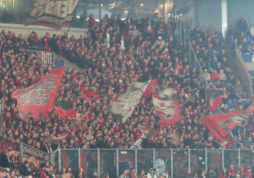 FC Schalke 04 – Bayer 04 Leverkusen 0-3 (2)