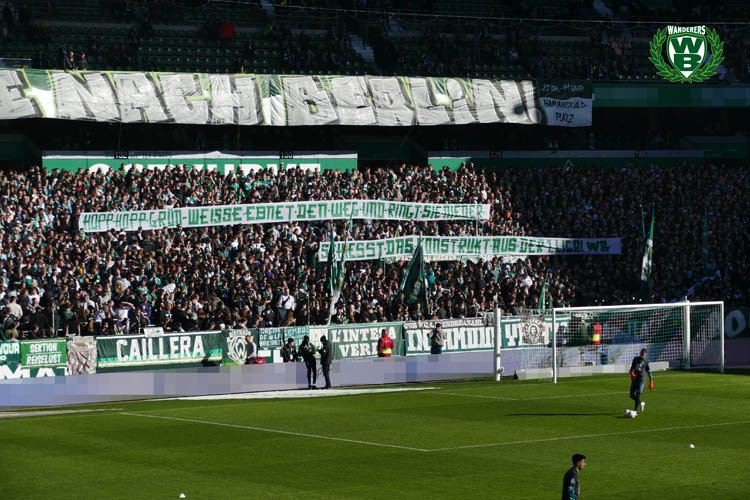 Werder Bremen – TSG Hoffenheim 1-2 (17)
