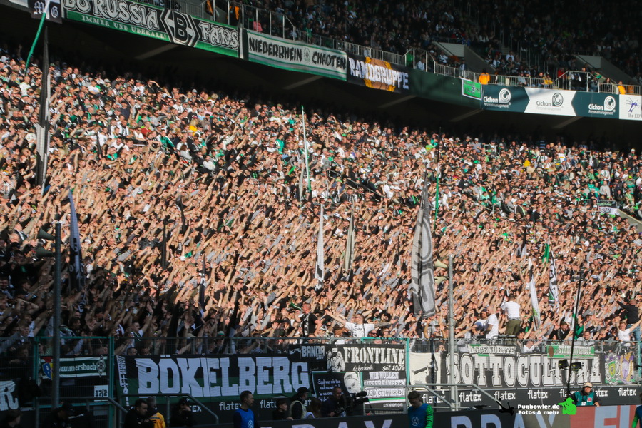 Borussia Mönchengladbach – VfL Wolfsburg 2-0 (8)