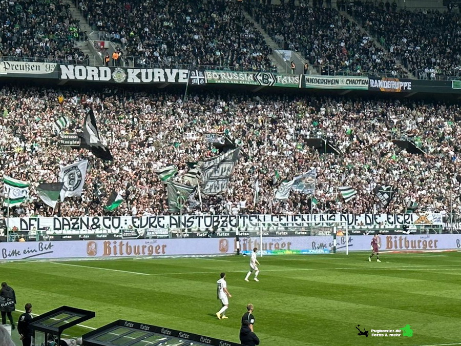 Borussia Mönchengladbach – VfL Wolfsburg 2-0 (9)