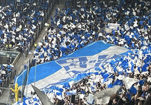 TSG Hoffenheim – FC Schalke 04 2-0