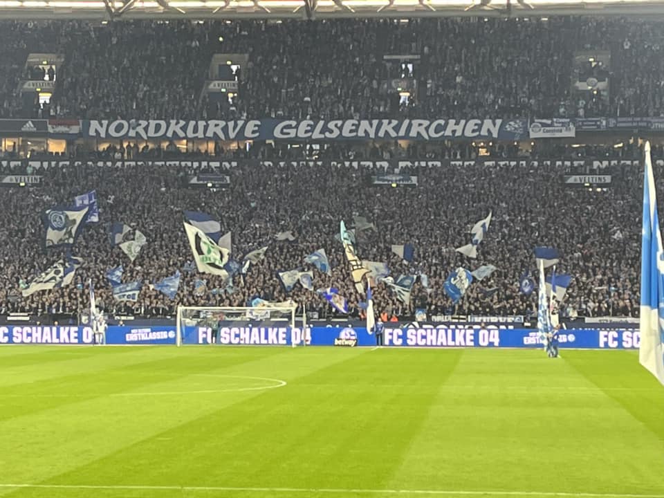 FC Schalke 04 – Hertha BSC (9)